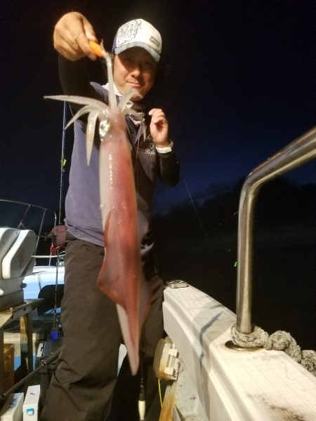 アマテラス 釣果