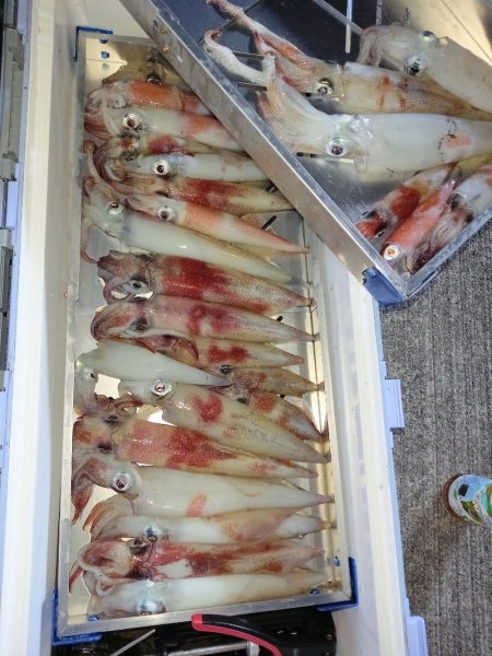 第二龍勢丸 釣果