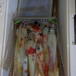 第二龍勢丸 釣果