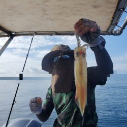 ソルトウォーターガイドフレンズ 釣果