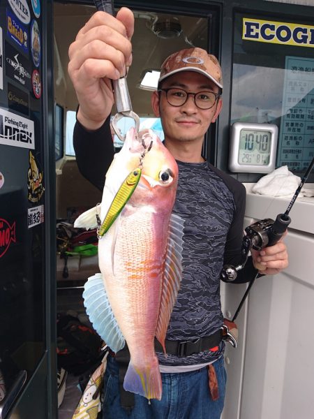 ARCADIAⅡ (アルカディアⅡ) 釣果