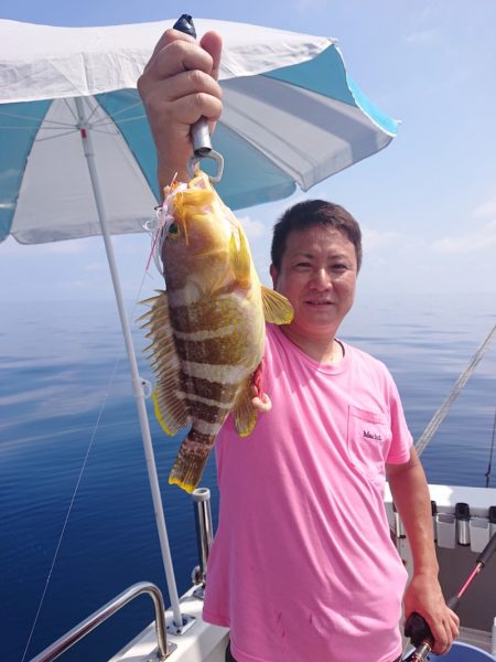 ARCADIAⅡ (アルカディアⅡ) 釣果