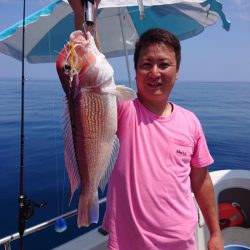 ARCADIAⅡ (アルカディアⅡ) 釣果