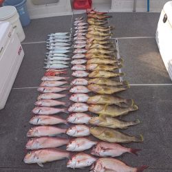 ARCADIAⅡ (アルカディアⅡ) 釣果