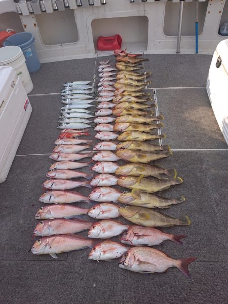 ARCADIAⅡ (アルカディアⅡ) 釣果