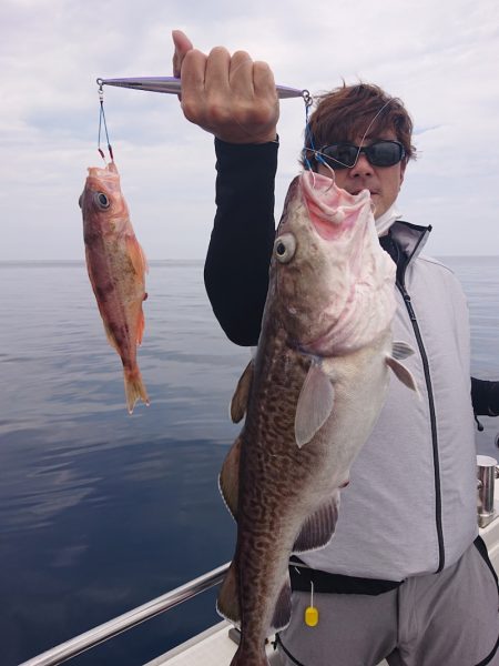 ARCADIAⅡ (アルカディアⅡ) 釣果