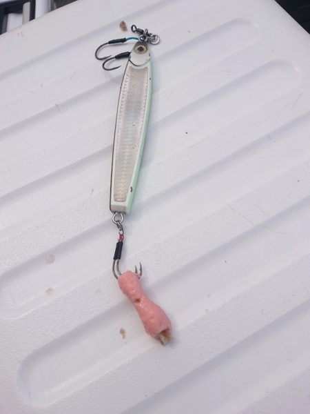 ARCADIAⅡ (アルカディアⅡ) 釣果