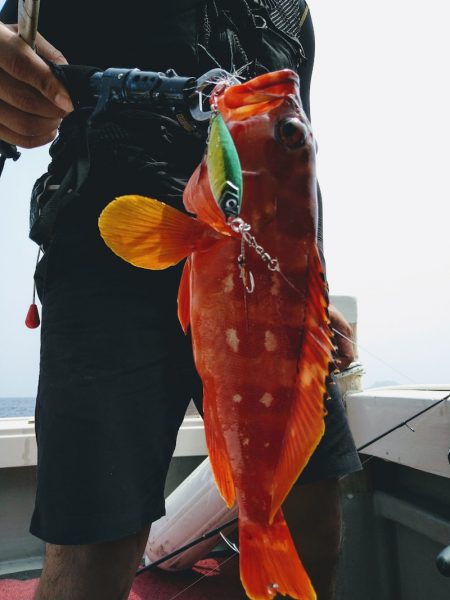 光生丸 釣果