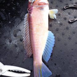 第二龍勢丸 釣果