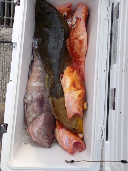 第二龍勢丸 釣果