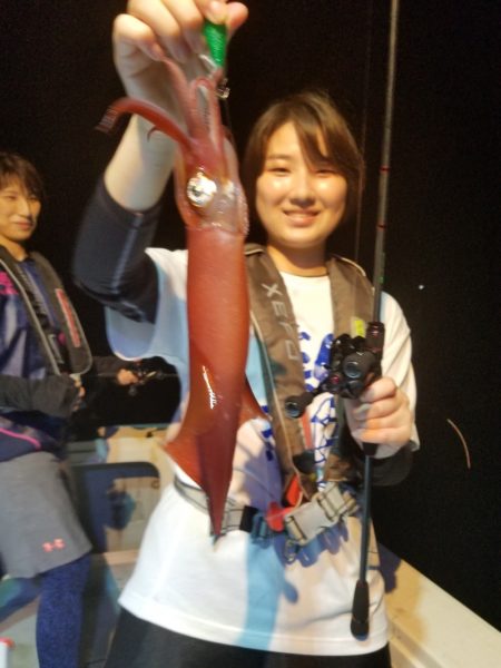 アマテラス 釣果