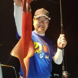 アマテラス 釣果