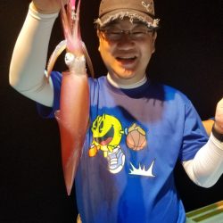 アマテラス 釣果