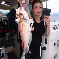 ARCADIAⅡ (アルカディアⅡ) 釣果