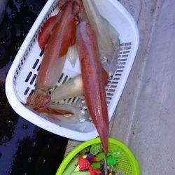 第二龍勢丸 釣果