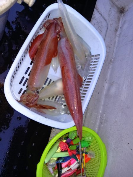 第二龍勢丸 釣果