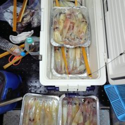 第二龍勢丸 釣果