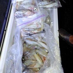 第二龍勢丸 釣果