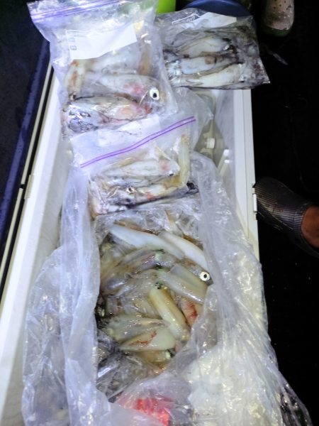 第二龍勢丸 釣果