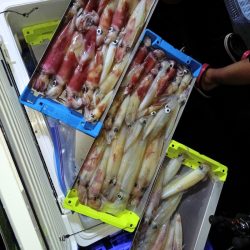 第二龍勢丸 釣果