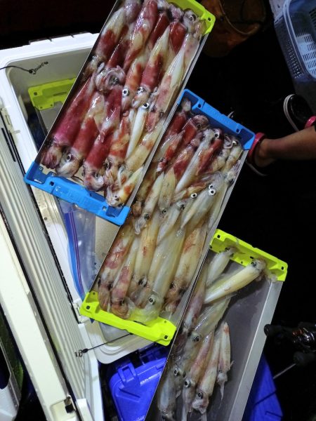 第二龍勢丸 釣果