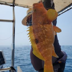 ソルトウォーターガイドフレンズ 釣果