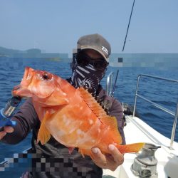 ソルトウォーターガイドフレンズ 釣果