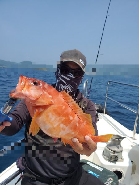 ソルトウォーターガイドフレンズ 釣果