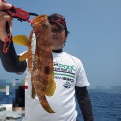 ソルトウォーターガイドフレンズ 釣果