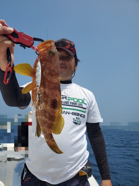 ソルトウォーターガイドフレンズ 釣果