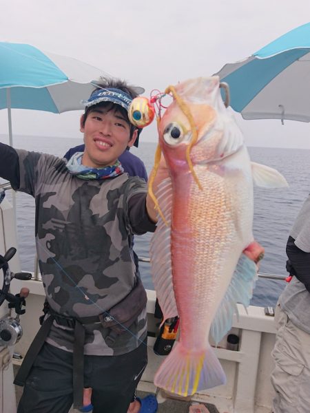 ARCADIAⅡ （アルカディアⅡ） 釣果…