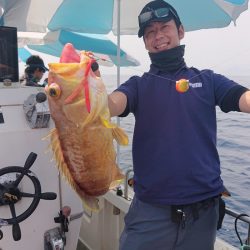 ARCADIAⅡ (アルカディアⅡ) 釣果