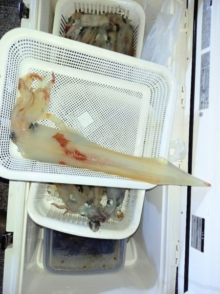 第二龍勢丸 釣果