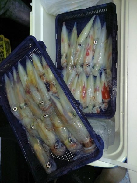 第二龍勢丸 釣果