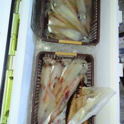 第二龍勢丸 釣果