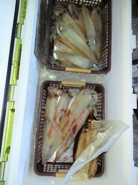 第二龍勢丸 釣果