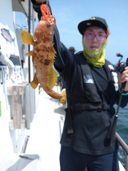 ありもと丸 釣果