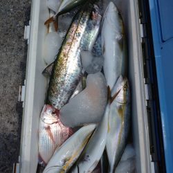 ありもと丸 釣果