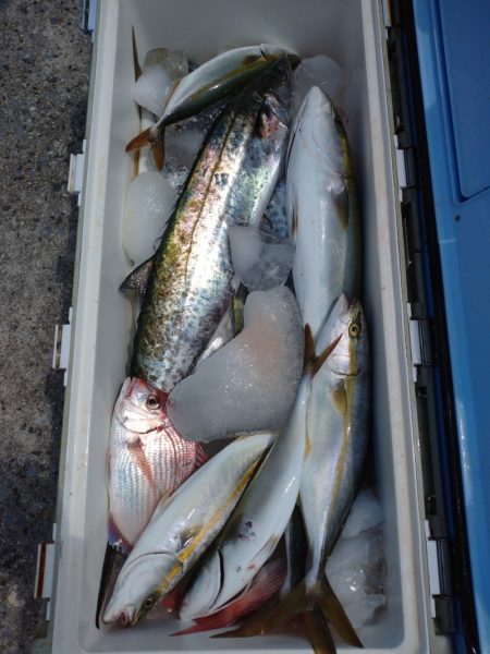 ありもと丸 釣果