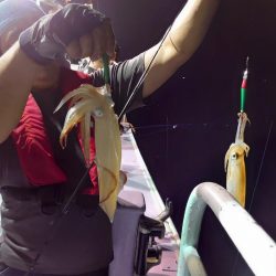 海龍丸（石川） 釣果