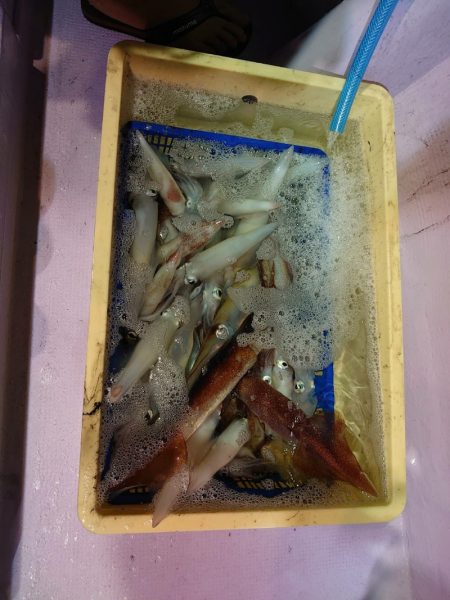 海龍丸（石川） 釣果