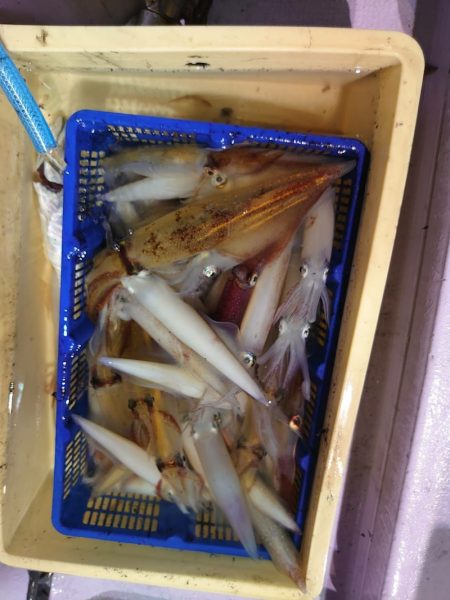 海龍丸（石川） 釣果