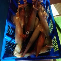 海龍丸（石川） 釣果