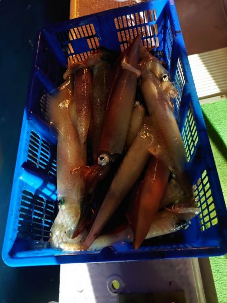 海龍丸（石川） 釣果