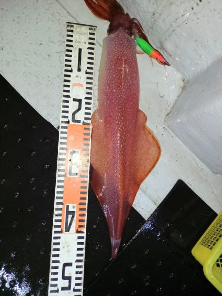 第二龍勢丸 釣果