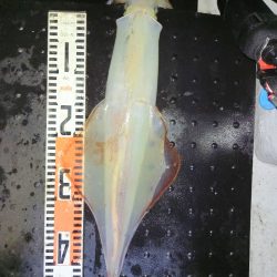 第二龍勢丸 釣果