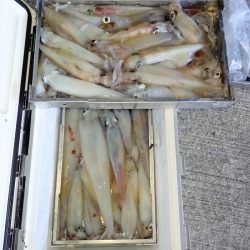 第二龍勢丸 釣果