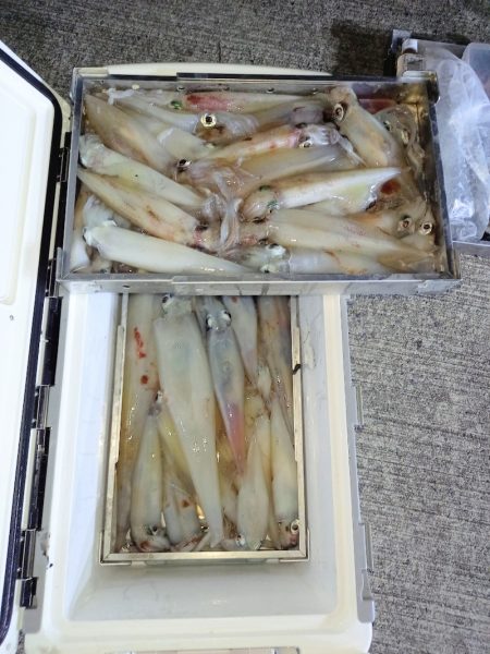 第二龍勢丸 釣果