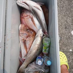 エンペラー 釣果