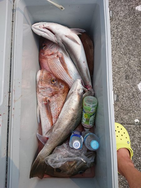 エンペラー 釣果